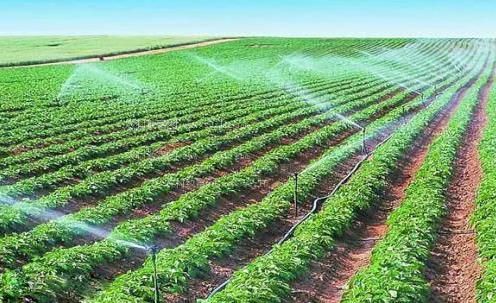国产又湿又黄又高潮农田高 效节水灌溉